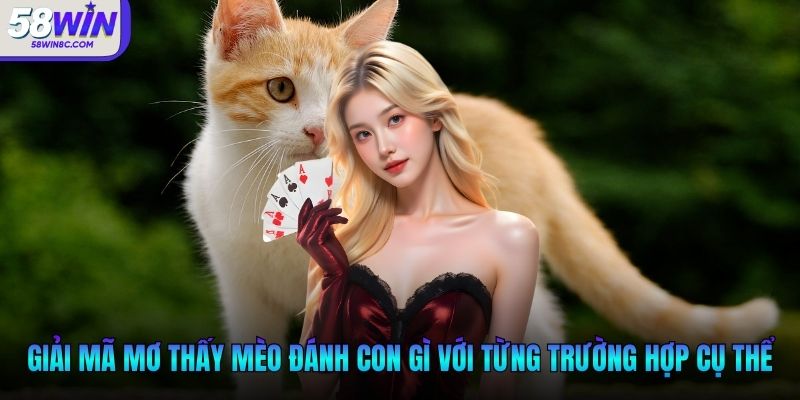 Giải mã mơ thấy mèo đánh con gì với từng trường hợp cụ thể