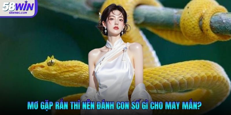 Giải mã nằm mơ thấy rắn đánh con gì cho gặp may mắn