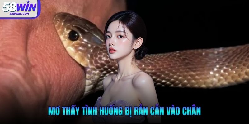 Giải thích nằm mơ thấy rắn đánh con gì theo tâm linh