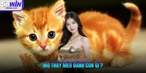 mơ thấy mèo đánh con gì