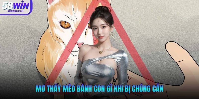 Mơ thấy mèo đánh con gì khi bị chúng cắn