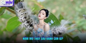 Nằm mơ thấy sâu đánh con gì