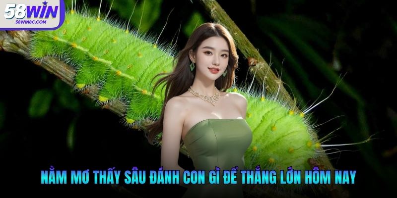 Nằm mơ thấy sâu đánh con gì để thắng lớn hôm nay