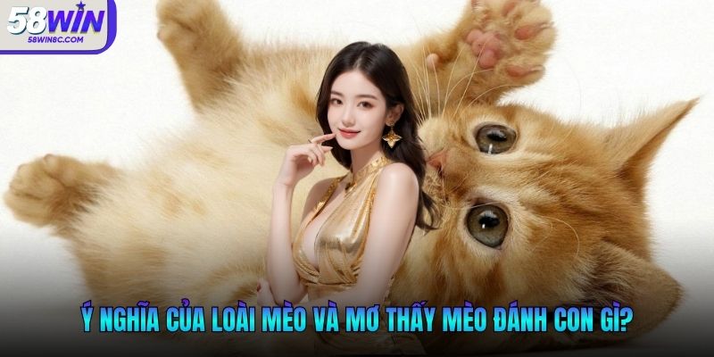 Ý nghĩa của loài mèo và mơ thấy mèo đánh con gì